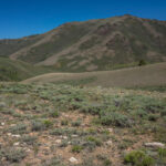 Summit Mountain, Monitor Range, Nevada