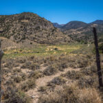 Basin and Range Trail Thru HIke – Snake Range c009