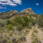 Basin and Range Trail Thru HIke – Snake Range c020
