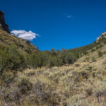 Basin and Range Trail Thru HIke – Snake Range c023