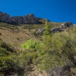 Basin and Range Trail Thru HIke – Snake Range c025