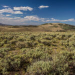 Basin and Range Trail Thru HIke – Snake Range c031