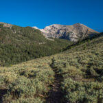 Mt Moriah view from trail in Big Creek Canyon