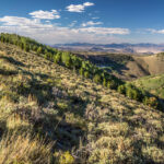 Basin and Range Trail Thru HIke – Snake Range c038