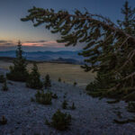 Basin and Range Trail Thru HIke – Snake Range c061