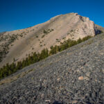Basin and Range Trail Thru HIke – Snake Range c074