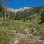Upper Hendry’s Creek View From Hiking Trail