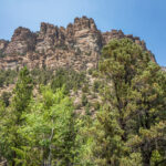 Basin and Range Trail Thru HIke – Snake Range c118