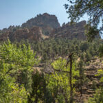 Basin and Range Trail Thru HIke – Snake Range c121