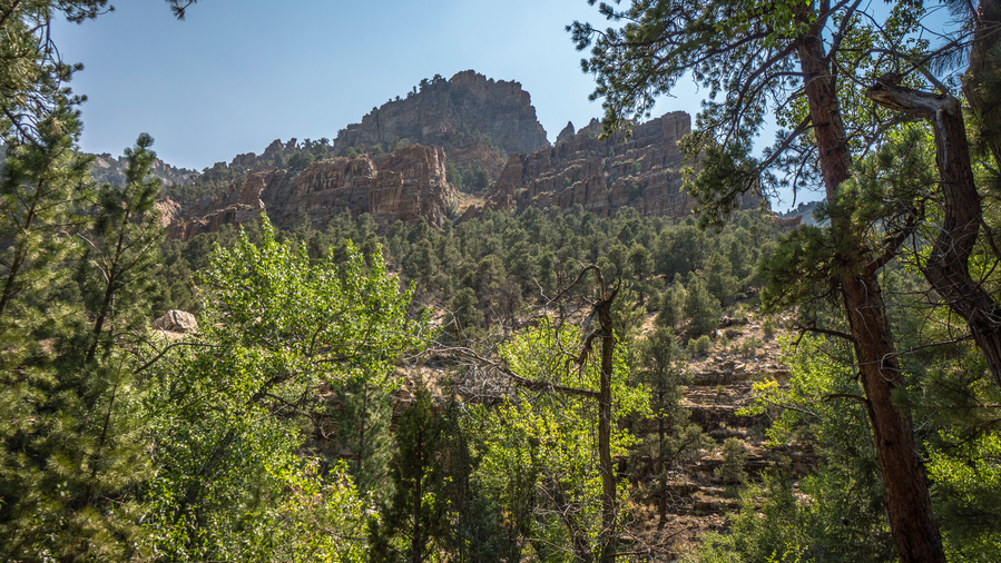 hikers view of canyons in hendrys creek