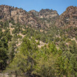Basin and Range Trail Thru HIke – Snake Range c122