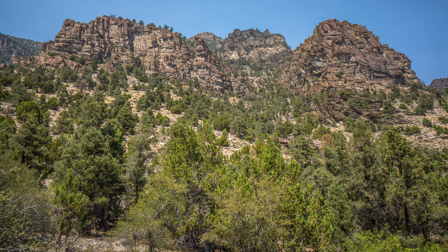 hikers view of canyons in hendrys creek