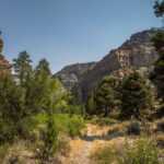 Hiking Lower Hendry’s Creek Trail