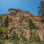 Hiking Lower Hendry’s Creek Trail