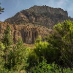 Hiking Lower Hendry’s Creek Trail