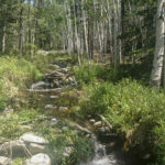 Hiking Hendry’s Creek, Mt Moriah Wilderness