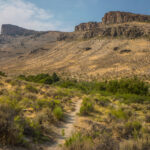 Basin and Range Trail Thru HIke – Snake Range c141