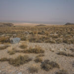 Snake Valley Views