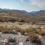 Basin and Range Trail Thru HIke – Snake Range c152
