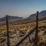 Basin and Range Trail Thru HIke – Snake Range c158
