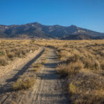Basin and Range Trail Thru HIke – Snake Range c184