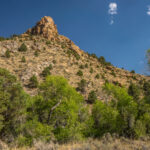 Snake Creek Canyon Hike