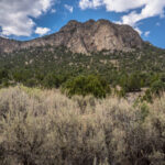 Basin and Range Trail Thru HIke – Snake Range c195