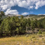 Basin and Range Trail Thru HIke – Snake Range c198