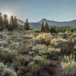 Basin and Range Trail Thru HIke – Snake Range c199