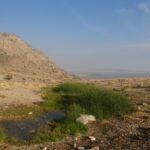 Craig Spring – Basin and Range Trail