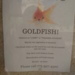 Missing Goldfish Sign