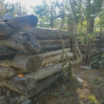 Johnson Lake Cabin – Great Basin National Park