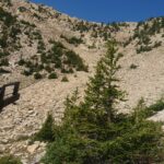 Basin and Range Trail Thru HIke – Snake Range c276