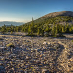 Wheeler Peak Trail