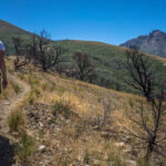 Basin and Range Trail Thru Hike Section 7 002