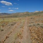 Basin and Range Trail Thru Hike Section 7 0023