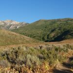 Campsite view in the Ruby Mountains