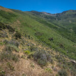 Basin and Range Trail Thru Hike Section 7 007