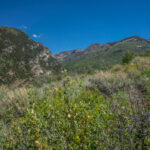 Basin and Range Trail Thru Hike Section 7 008