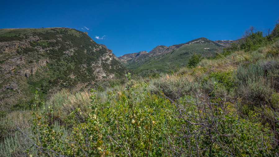 talbot creek bushwhacking