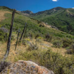 Talbot Creek on the Basin and Range Trail