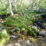 Franklin River, Nevada