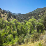 Basin and Range Trail Thru Hike Section 7 016