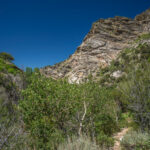 Basin and Range Trail Thru Hike Section 7 022