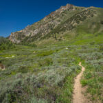 Soldier Creek Hiking Trail