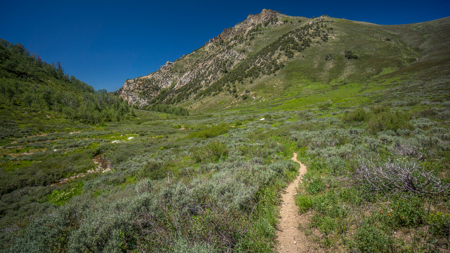 view of hiking trial in upper soldier creek