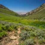 Basin and Range Trail Thru Hike Section 7 031