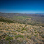 View from Extreme Northern Ruby Mountains