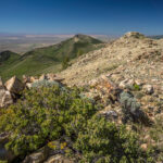 Basin and Range Trail Thru Hike Section 7 045