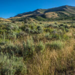 Basin and Range Trail Thru Hike Section 7 048